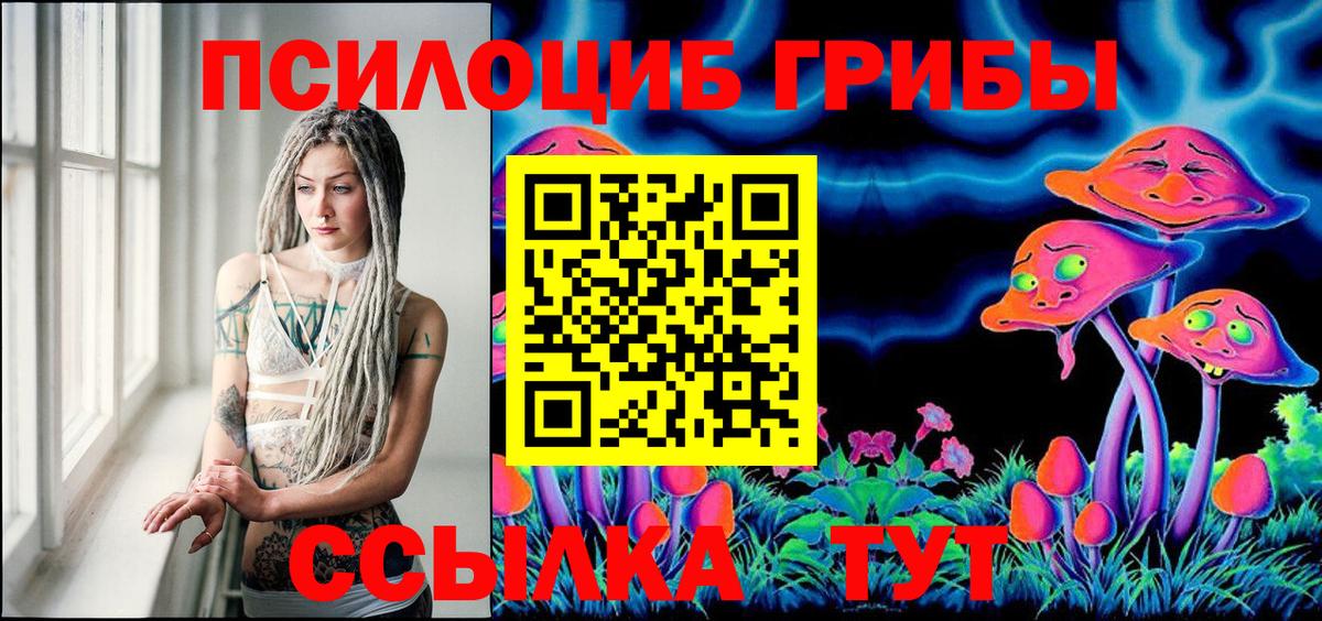Киселёвск  Псилоцибиновые грибы Cubensis  Вход с VPN 